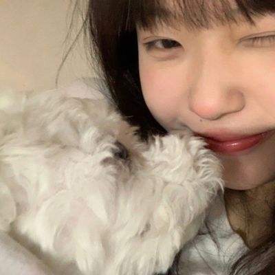 成语宝藏库最新版下载